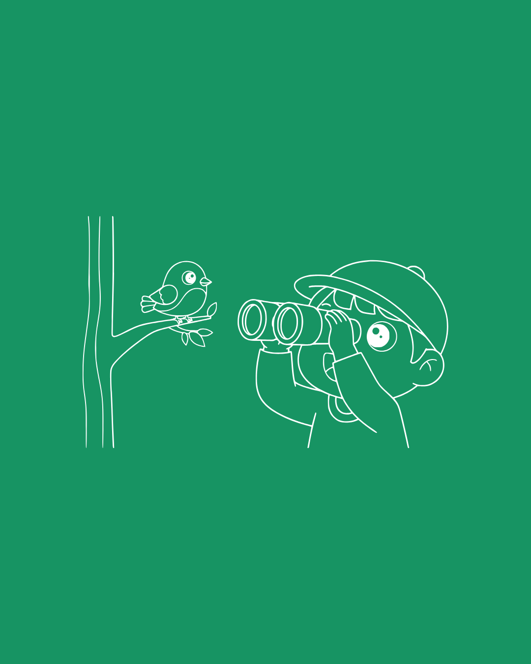 Birdwatching