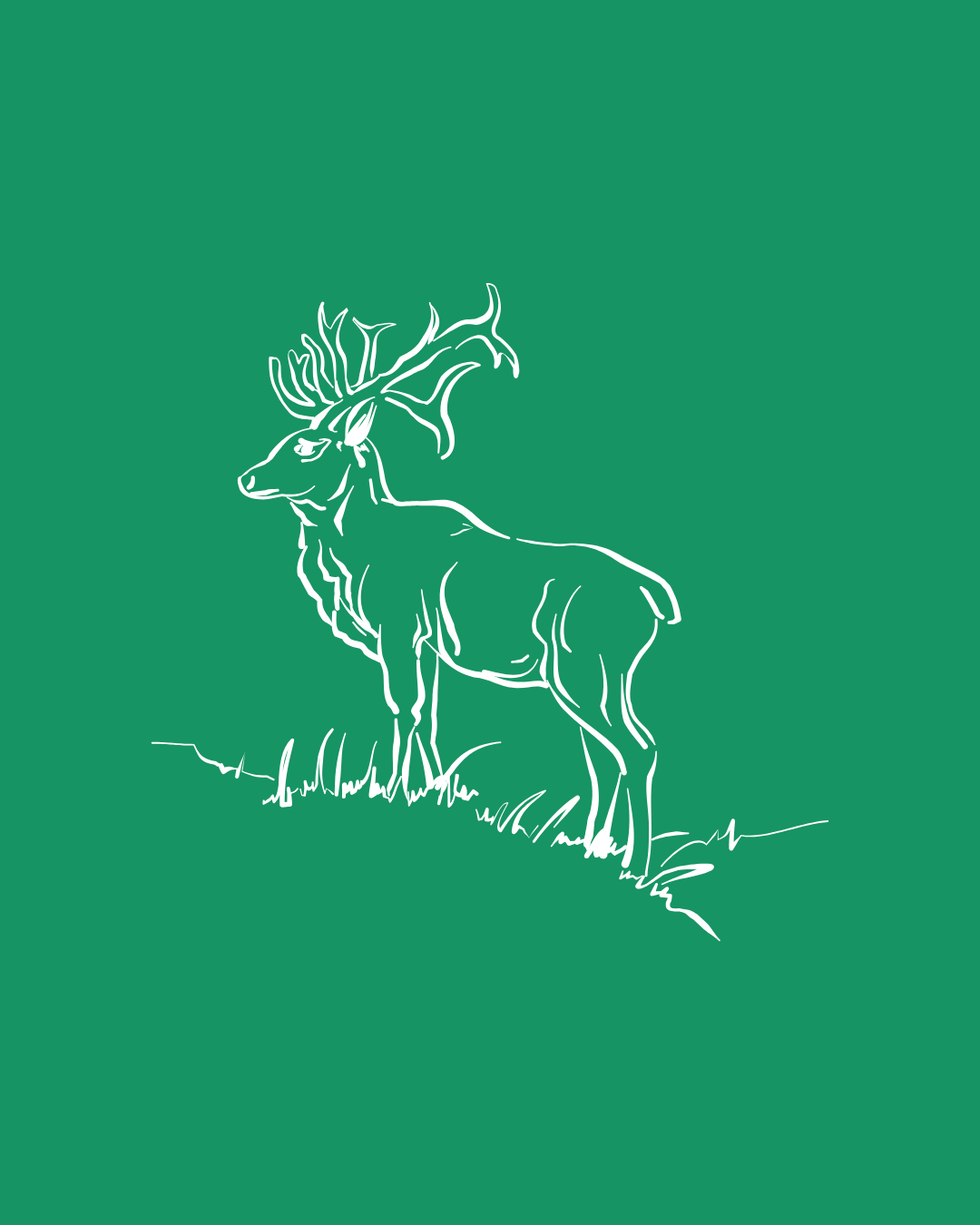 Wildlife