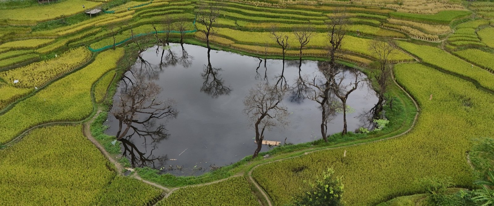 Travel with Northeast Travel Experts