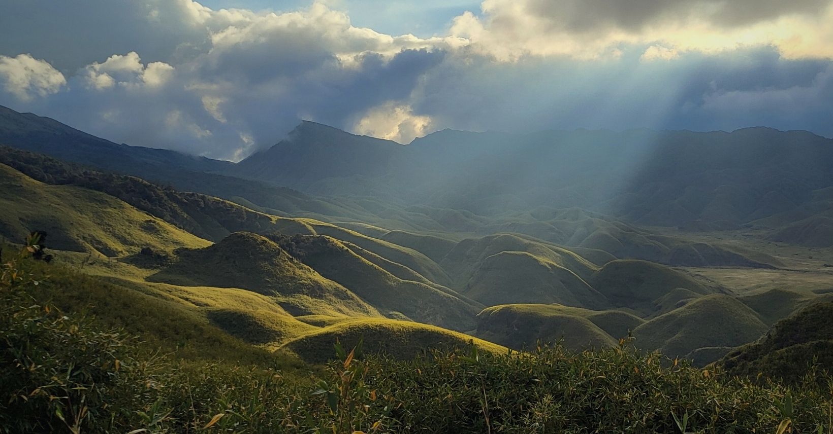 Valley of Flowers: Dzukou Valley